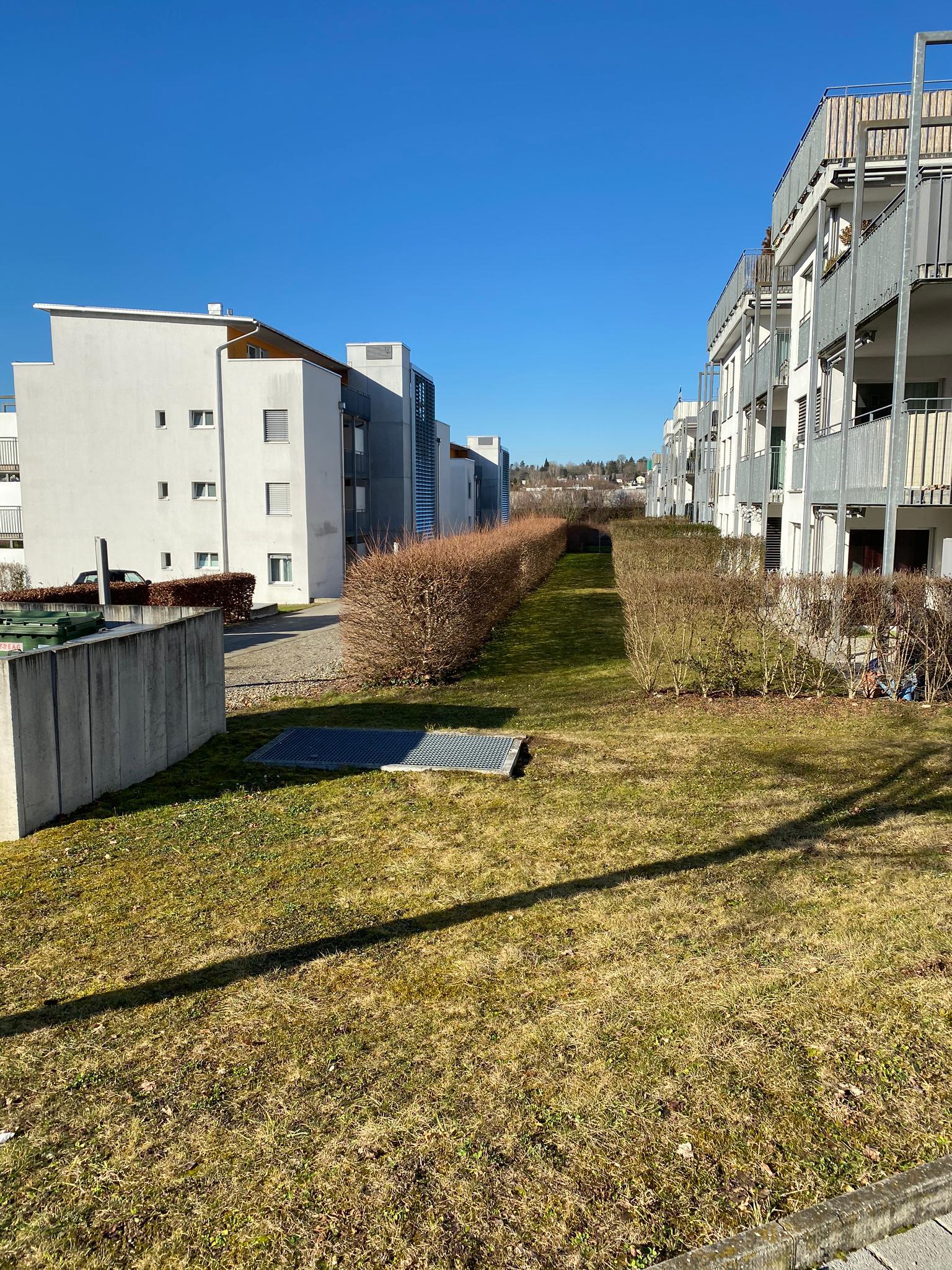 Gepflegte Wohnanlage mit Rasenfläche im Sonnenlicht