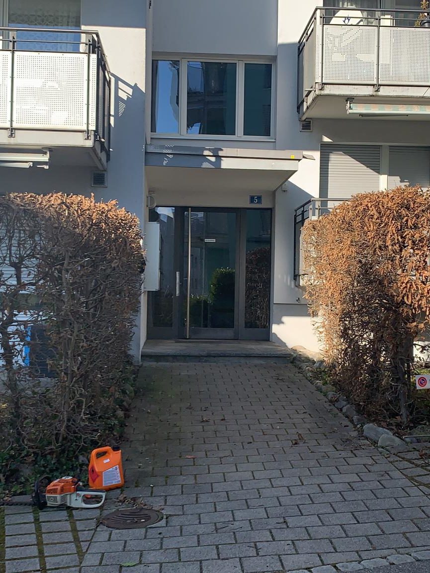 Hauseingang mit gestutzter Hecke