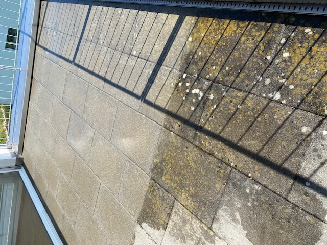 Terrasse mit Moos und Algen vor der Reinigung